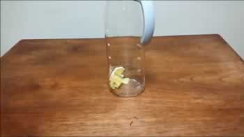 レモンをポットに入れて水を1リットル注ぐ